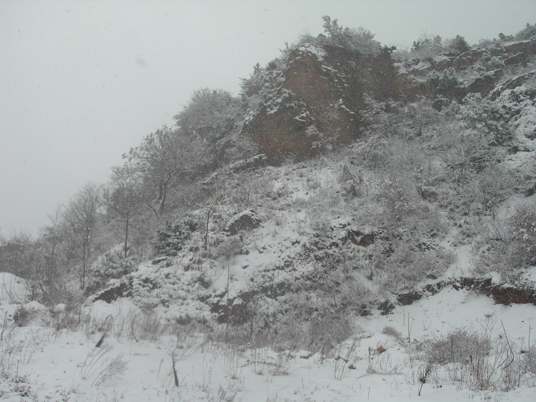 Snow_2006-010