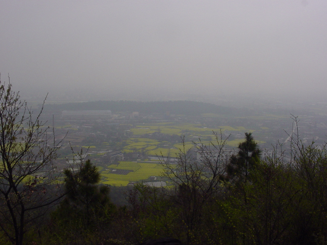 Temple_Mar_2004-018