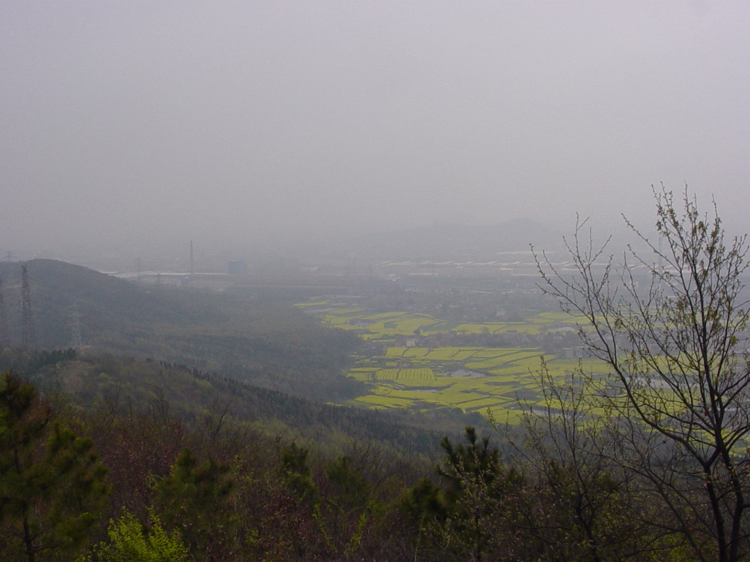 Temple_Mar_2004-019
