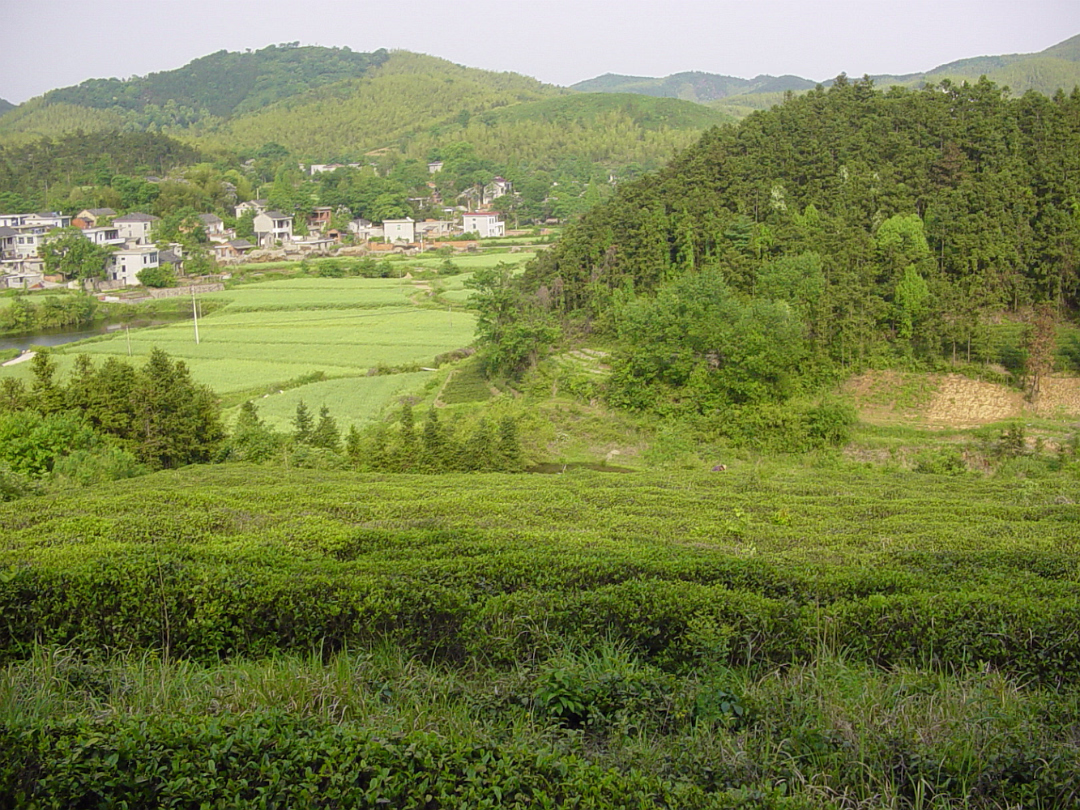Putang_May_2005-009