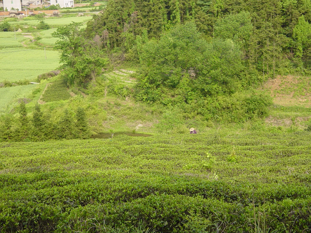 Putang_May_2005-010