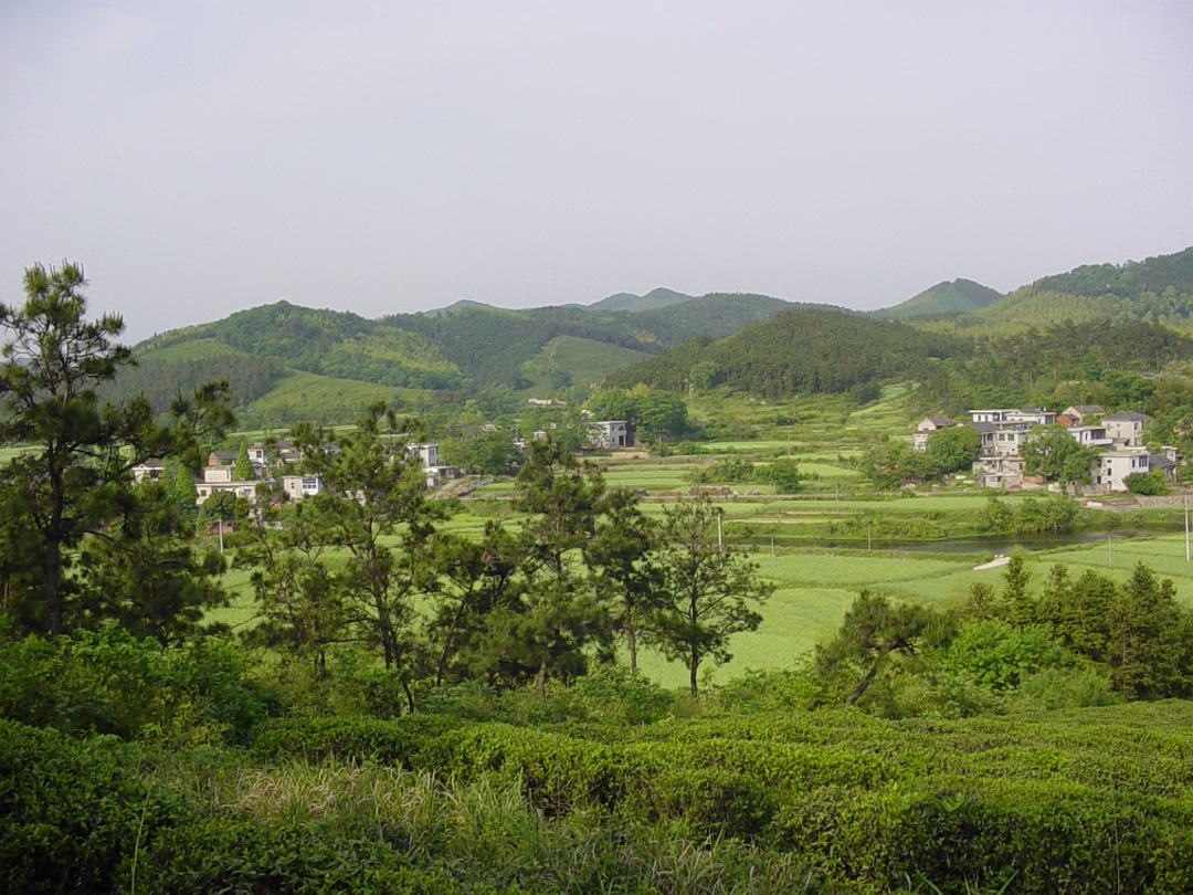 Putang_May_2005-011