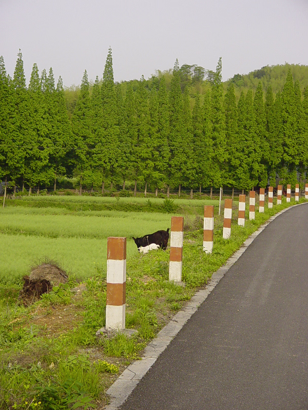 Putang_May_2005-013