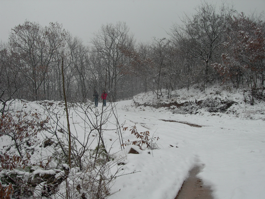 Snow_2006-007