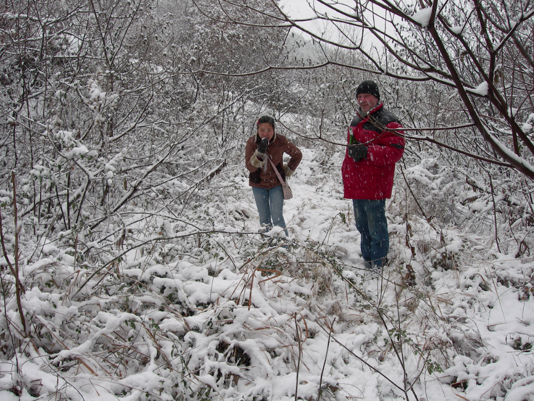 Snow_2006-008