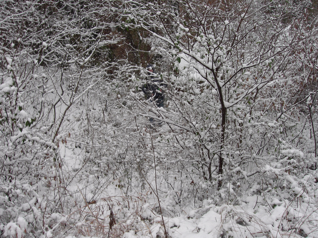 Snow_2006-009