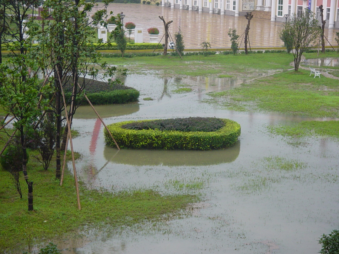 Rain_Sep_2003-005