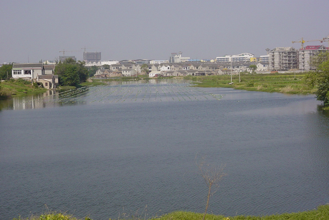Random-017