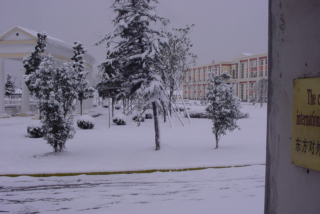 Snow_Feb_2003-001