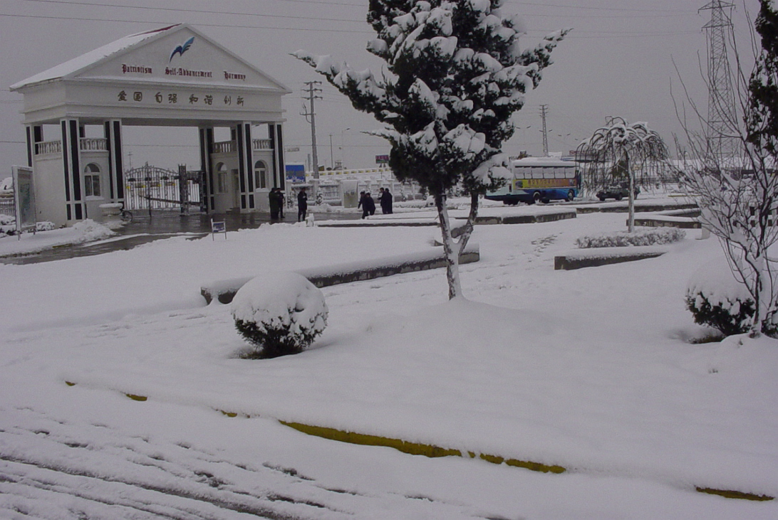 Snow_Feb_2003-002