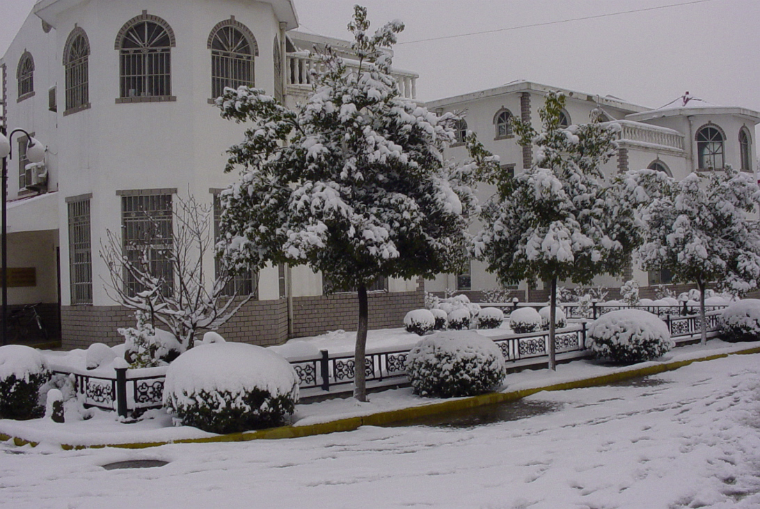Snow_Feb_2003-003
