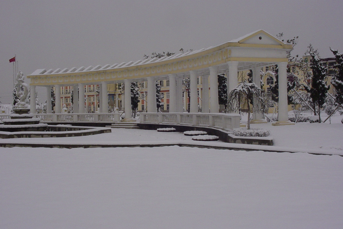 Snow_Feb_2003-004
