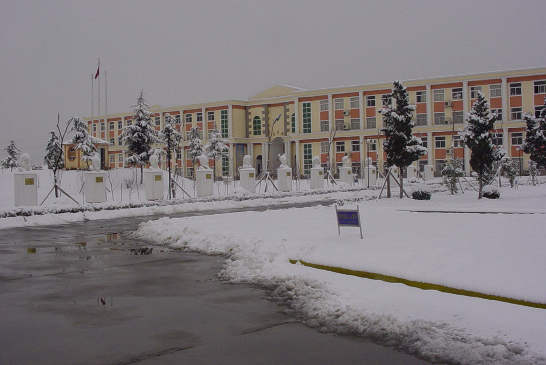 Snow_Feb_2003-005
