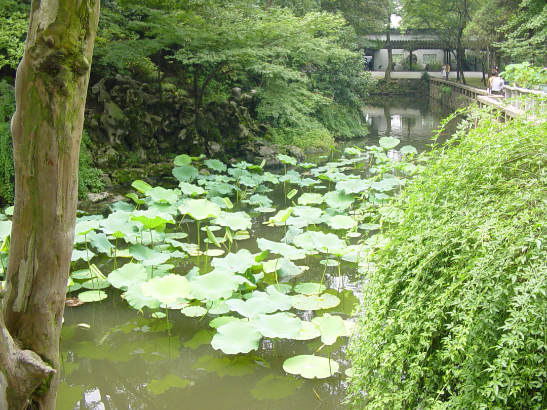 Suzhou-08