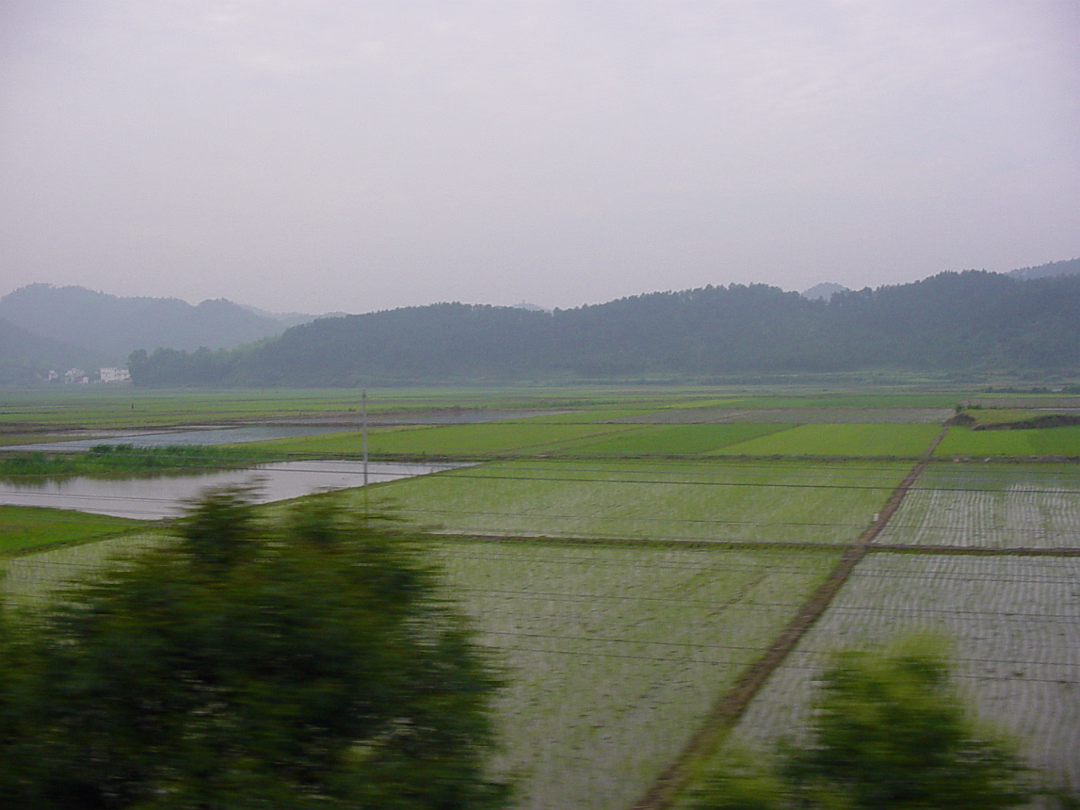 Yellow-Mountain-01