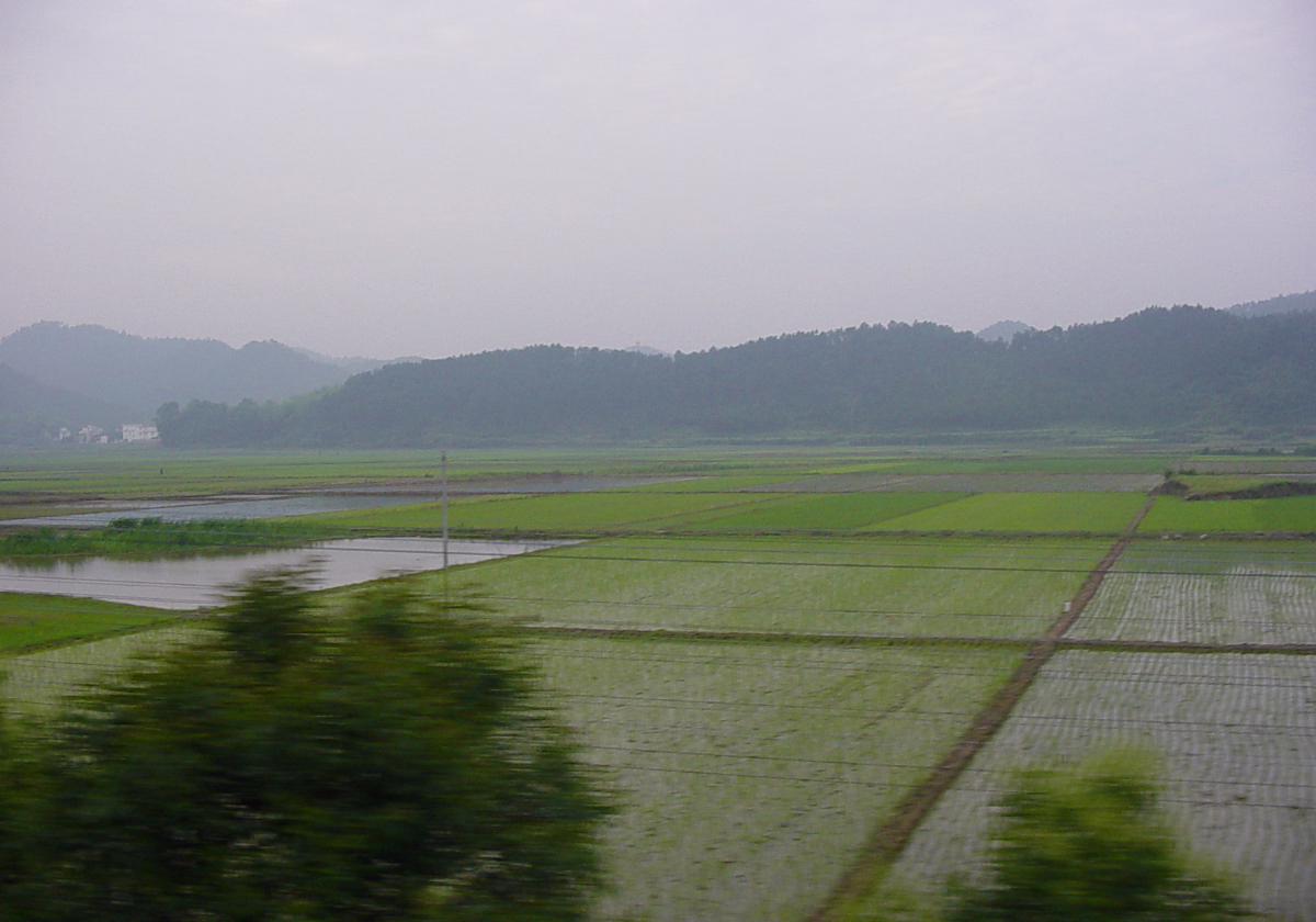 Yellow Mountain 2003 Yellow Mountain 2003 Yellow Mountain is one of the most famous and most visited scenic spots in China. I went for a...