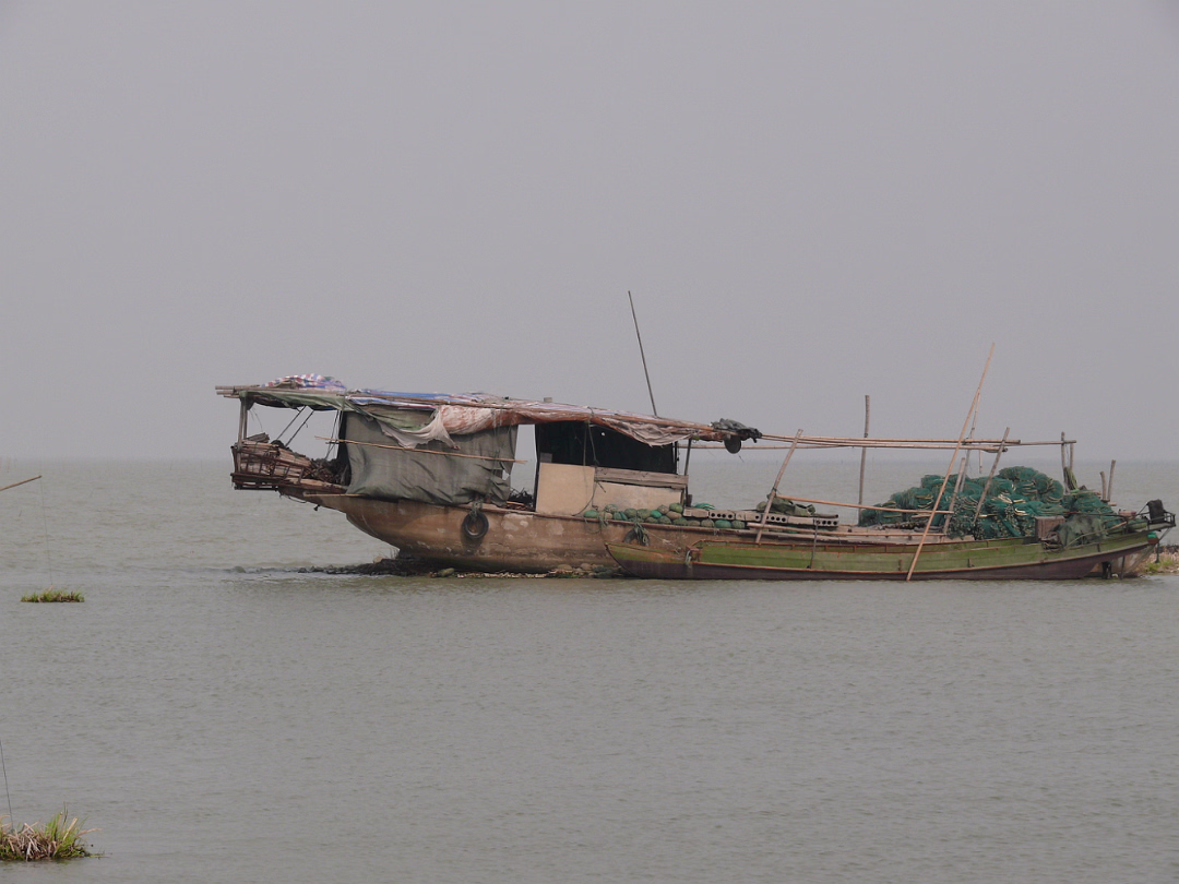 Boat-Buying-12