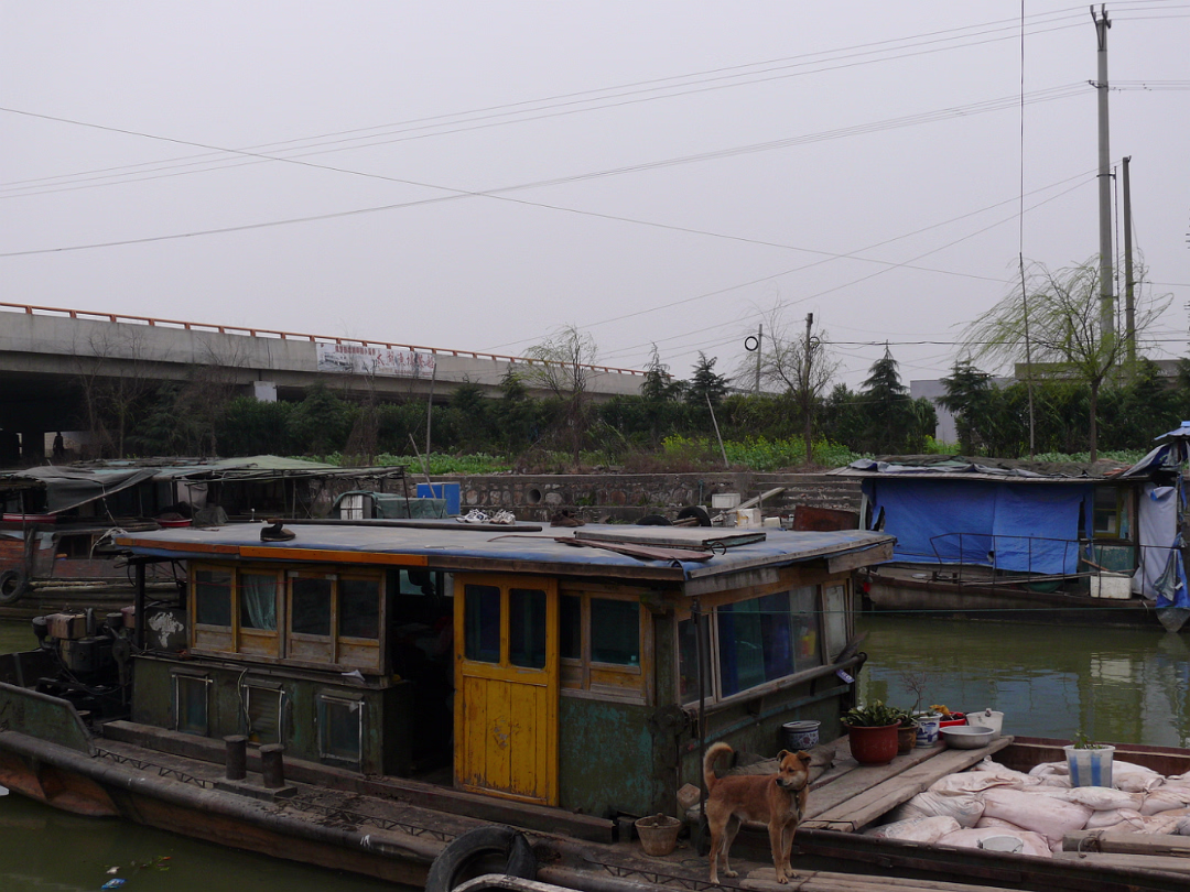 Boat-Buying-19