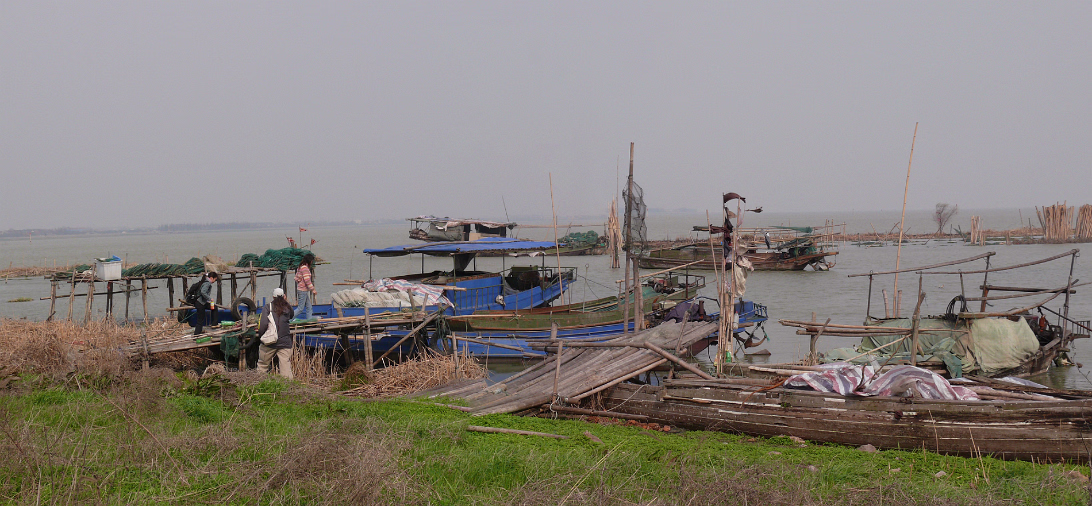Boat-Buying-29