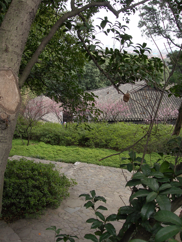 Mei-Yuan-15