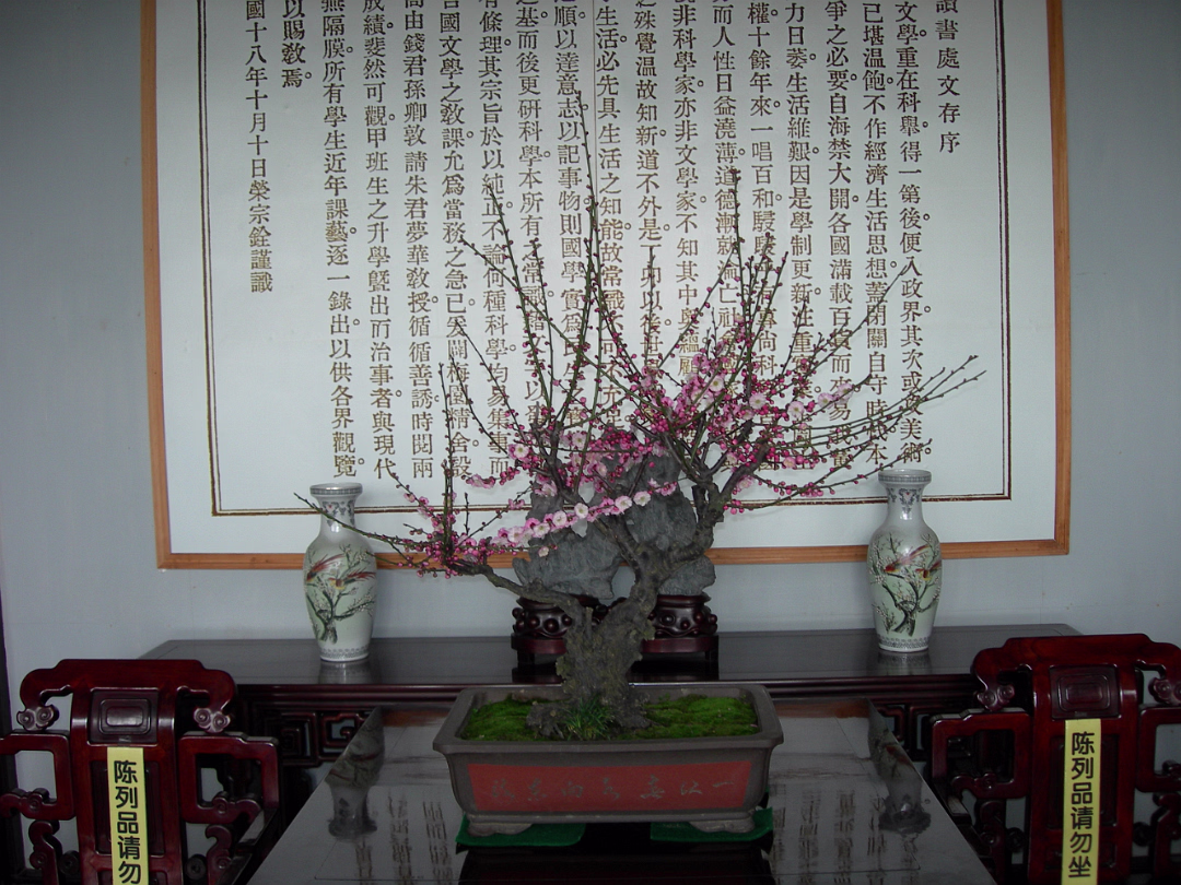 Mei-Yuan-20