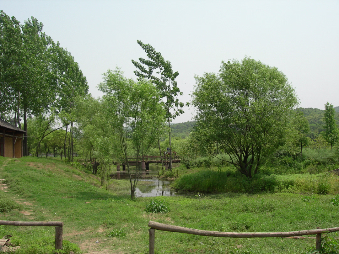 Movie-Set-15