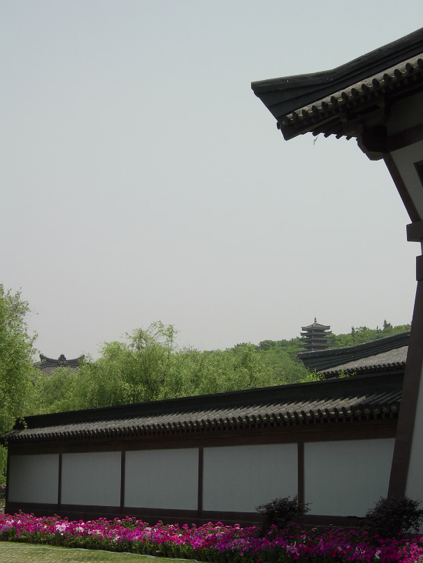 Movie-Set-24