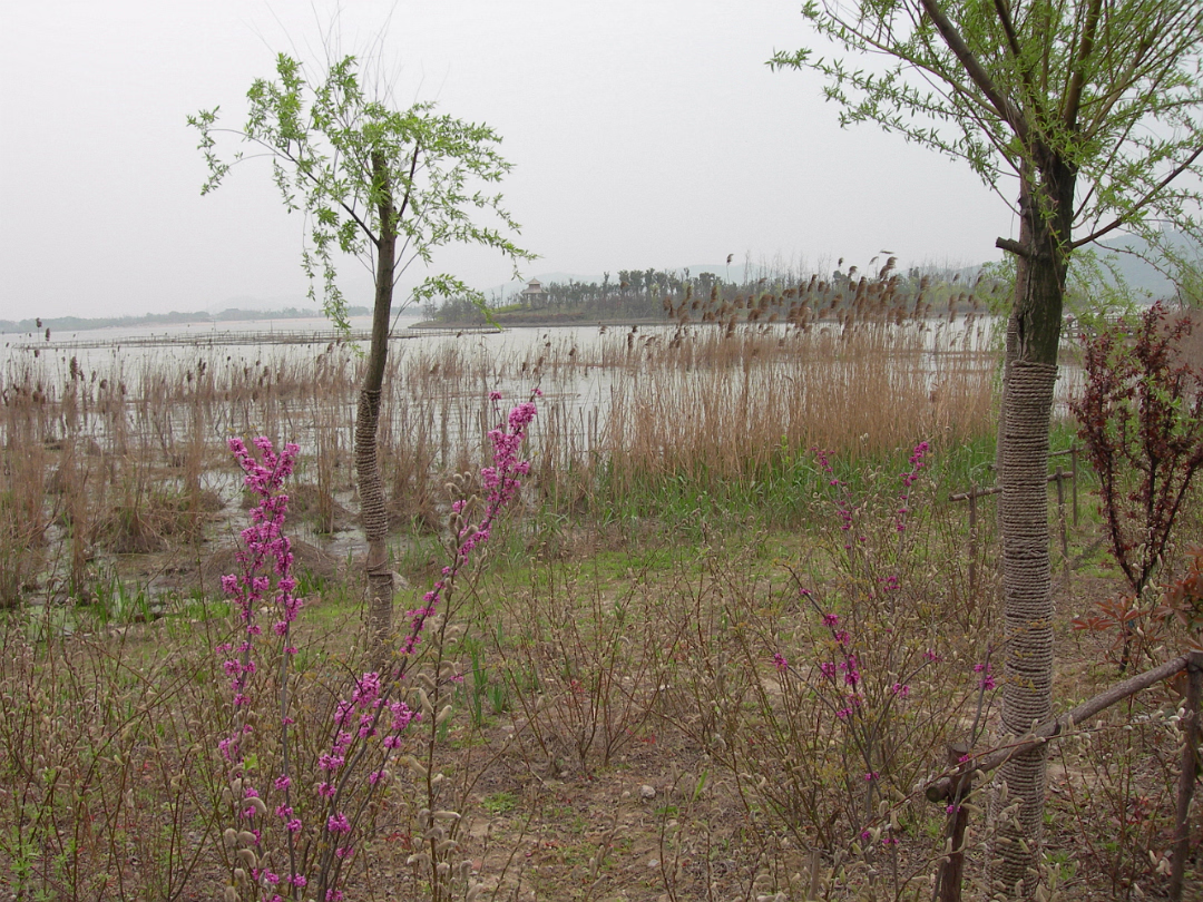 Tai-Lake-02