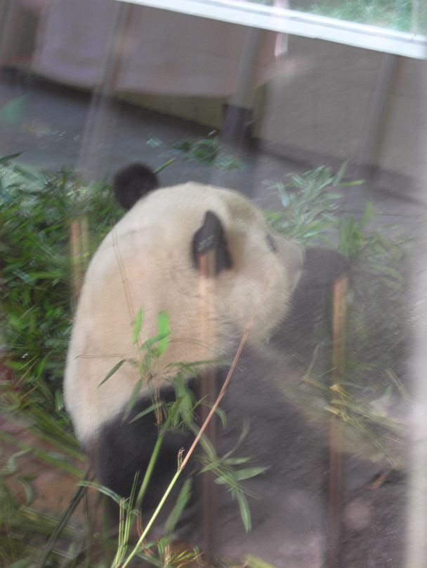 Xi-Hui-Park-09