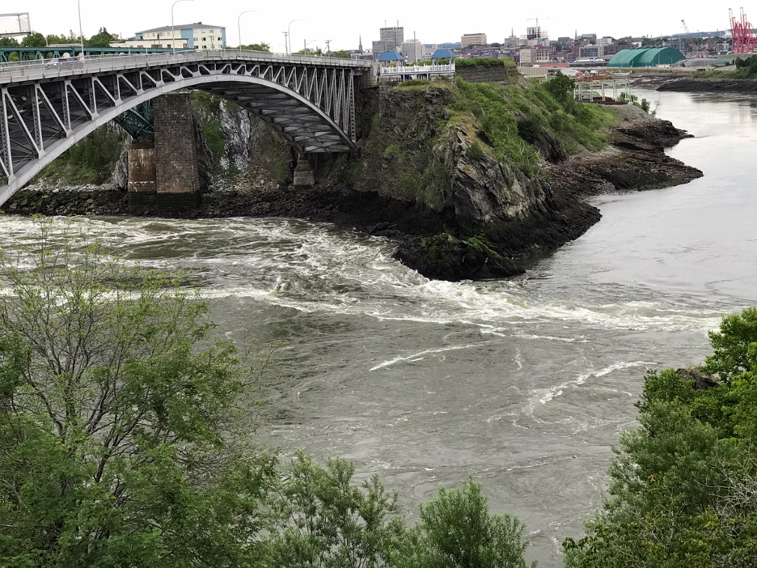 IMG_0083