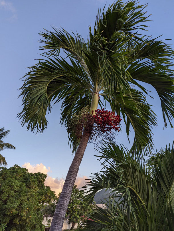 USVI-0007