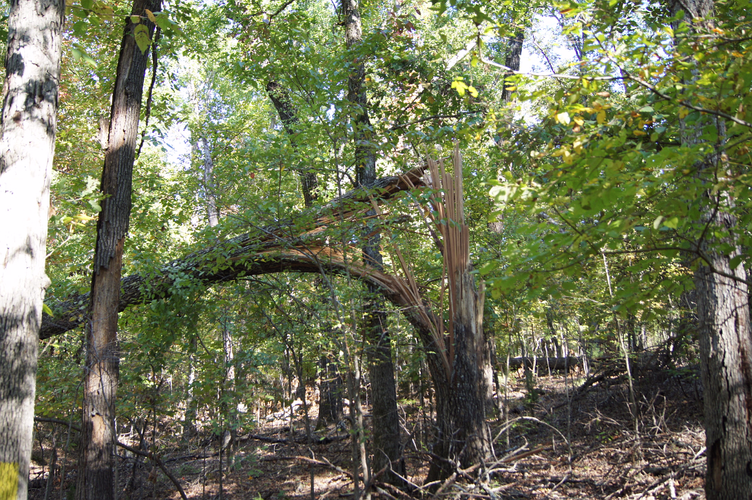 Bull_Shoals_Camping-034