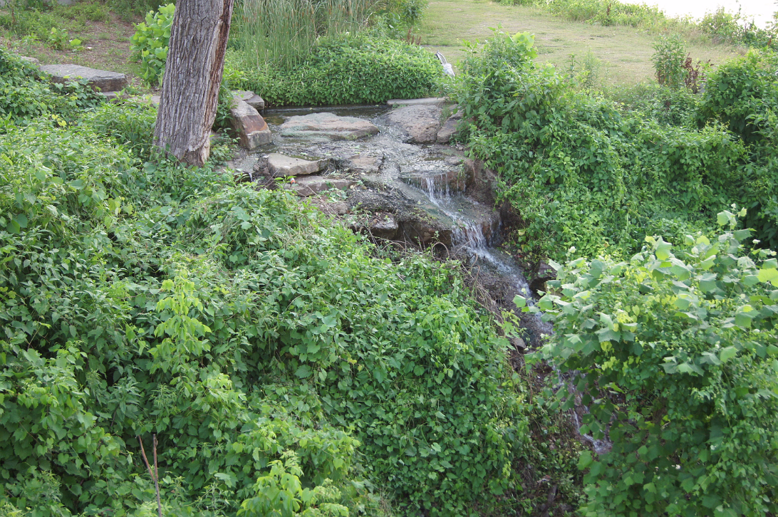 Downtown_Little_Rock-012
