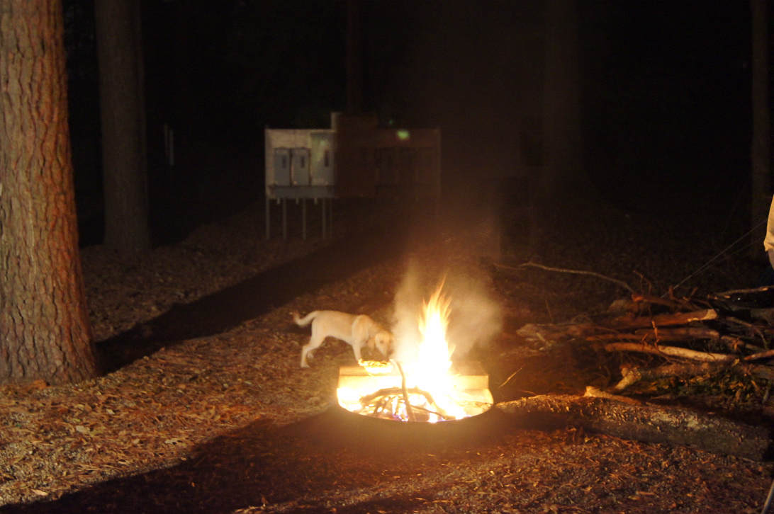 Maumelle_Park_Camping_2012-009