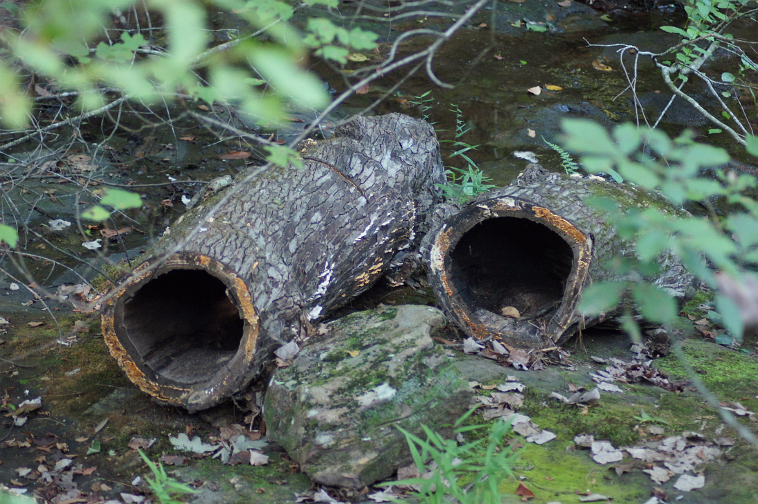 Petit_Jean_Camping-060