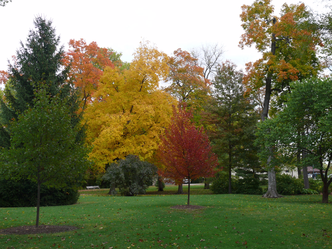 Autumn_2009-001