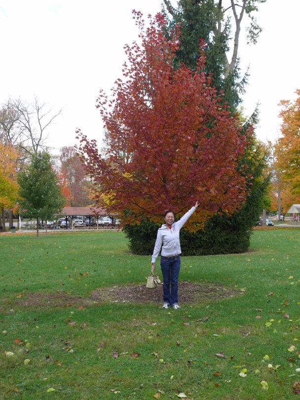 Autumn_2009-002