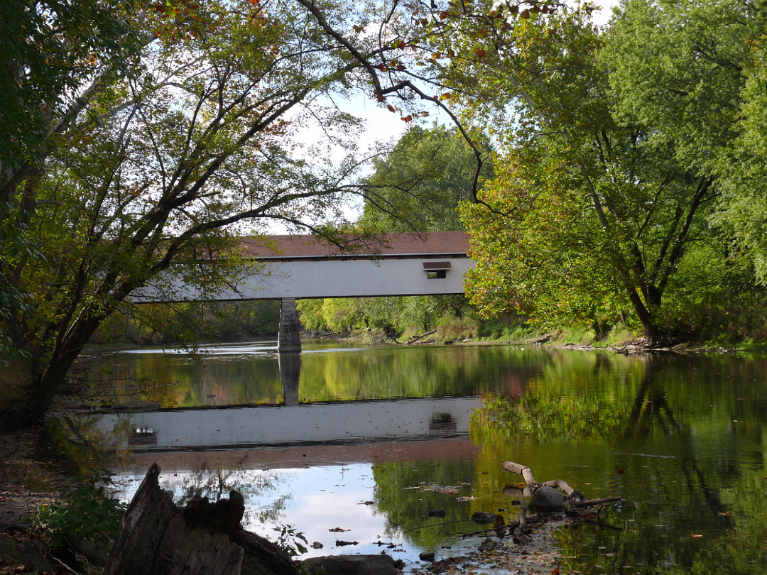 Autumn_2009-022