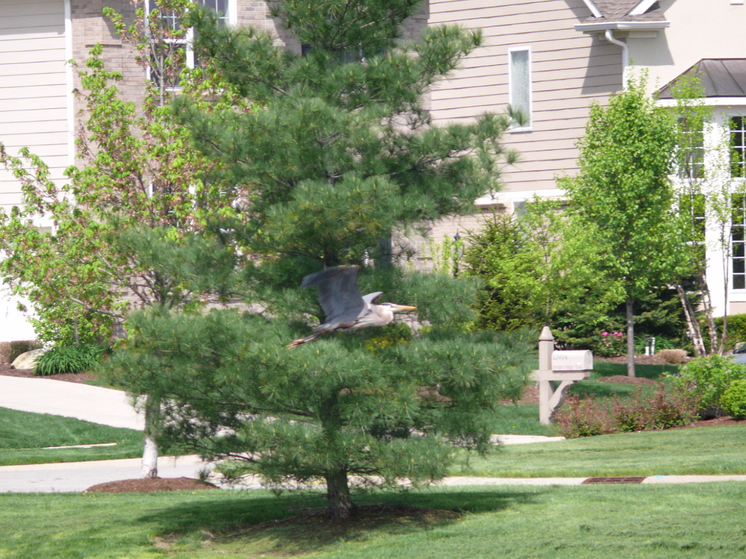 Indy_May_2009-004