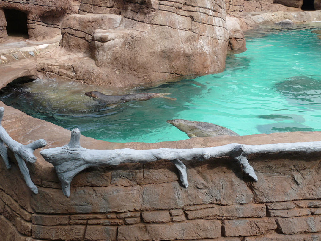 Zoo_Sep_2009-002