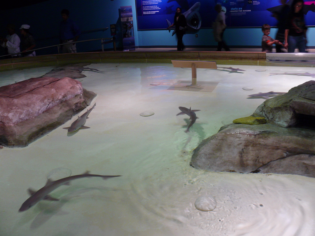 Zoo_Sep_2009-010