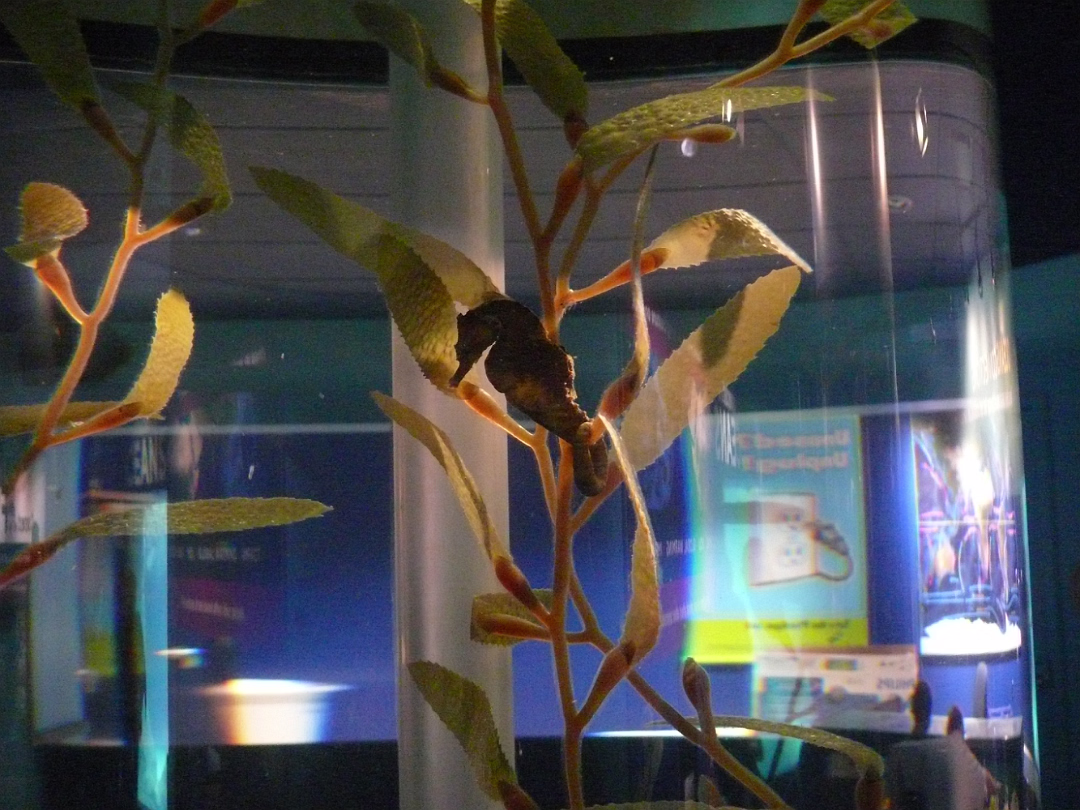 Zoo_Sep_2009-011