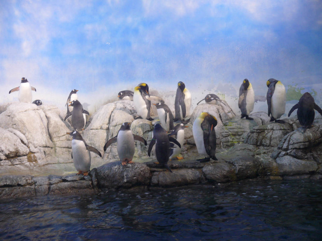 Zoo_Sep_2009-013