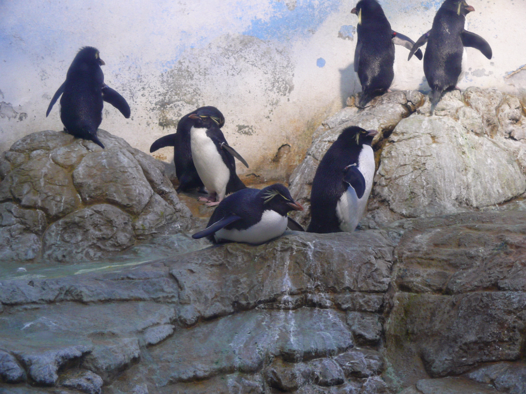 Zoo_Sep_2009-016