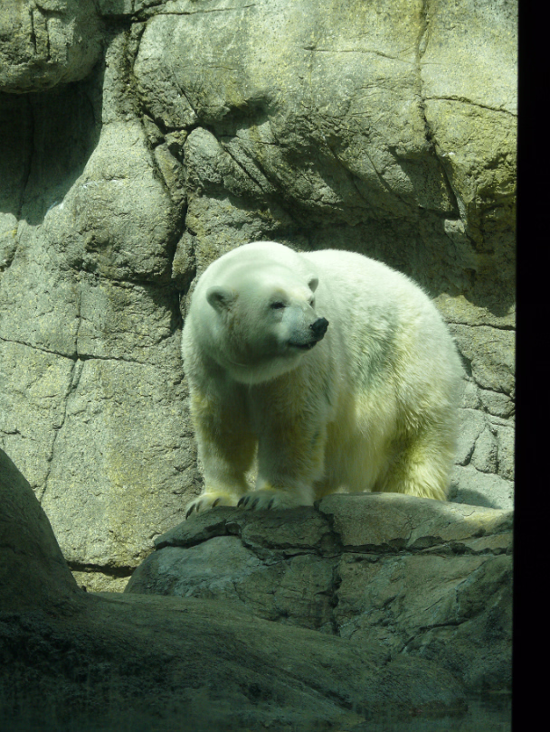 Zoo_Sep_2009-019