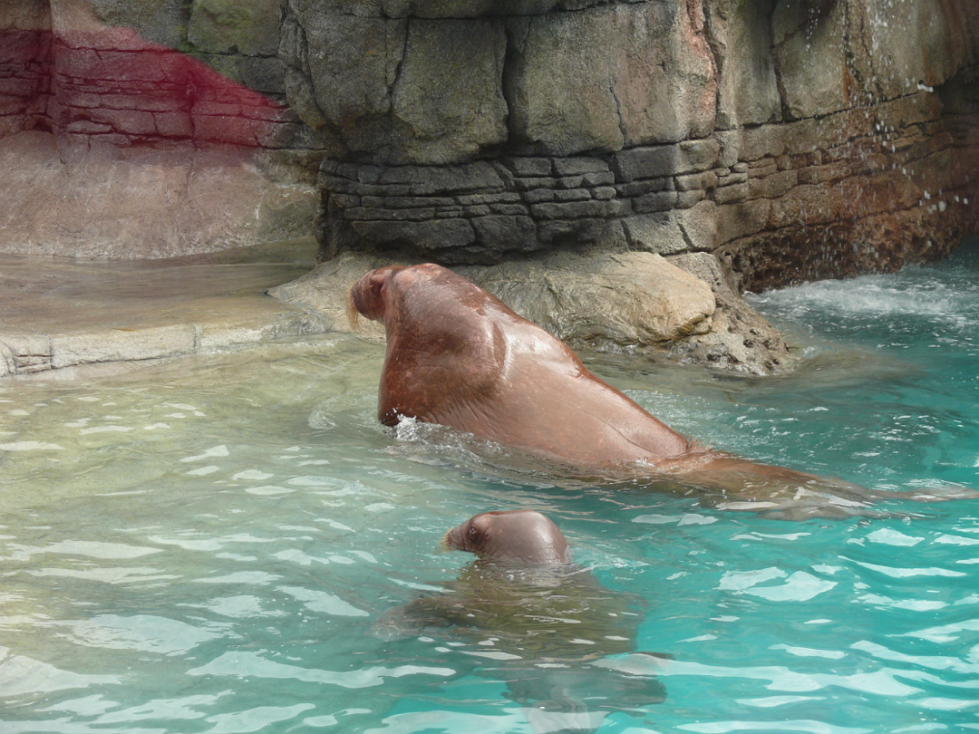 Zoo_Sep_2009-035