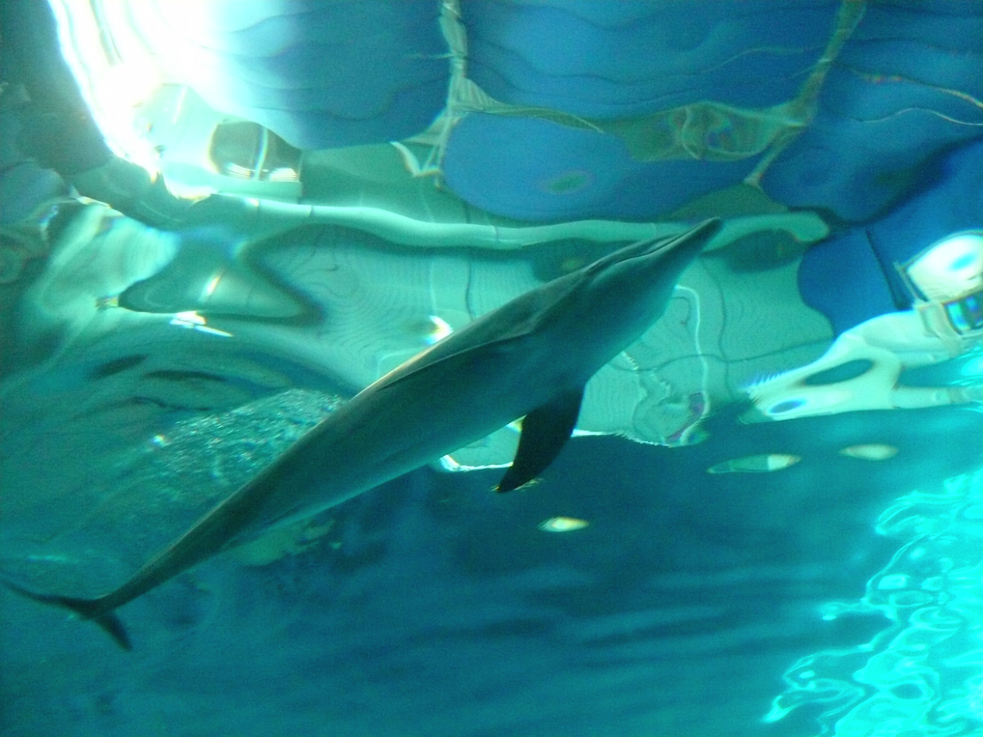 Zoo_Sep_2009-041