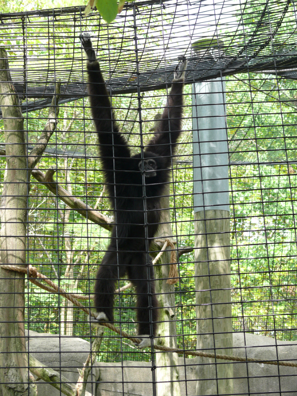 Zoo_Sep_2009-047