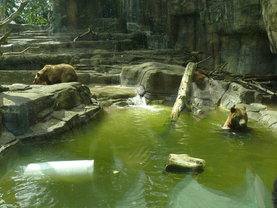 Zoo_Sep_2009-054