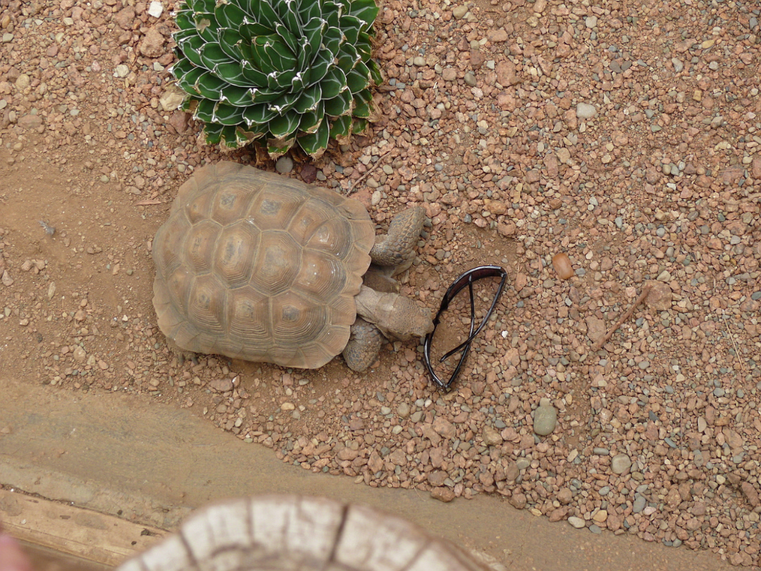 Zoo_Sep_2009-069